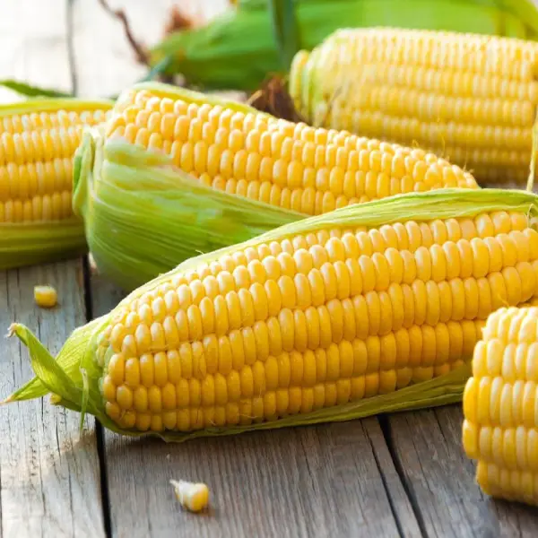 Sweet Corn