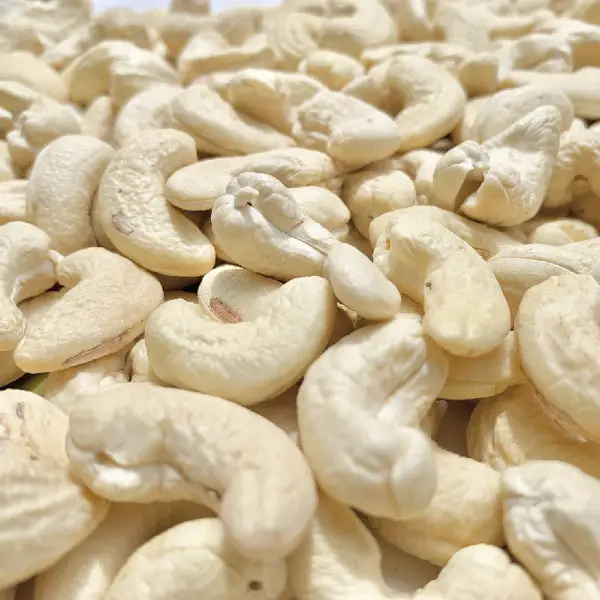 Cashew Nut